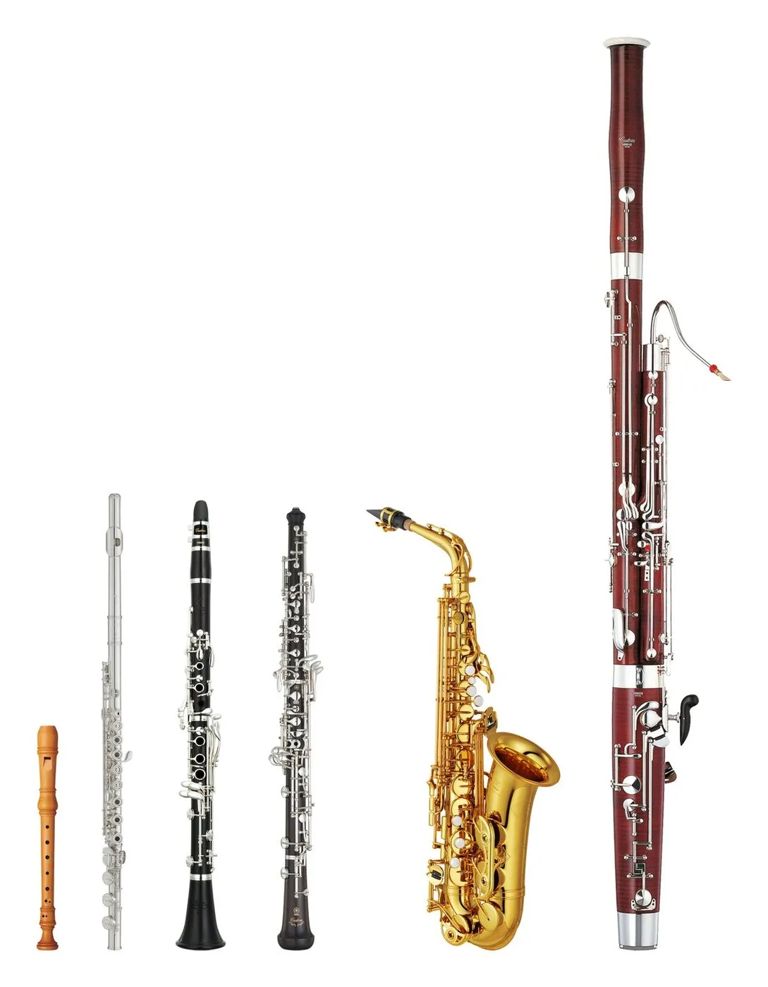 Soprano recorder, flute, clarinet, oboe, alto saxophone and bassoon side by side