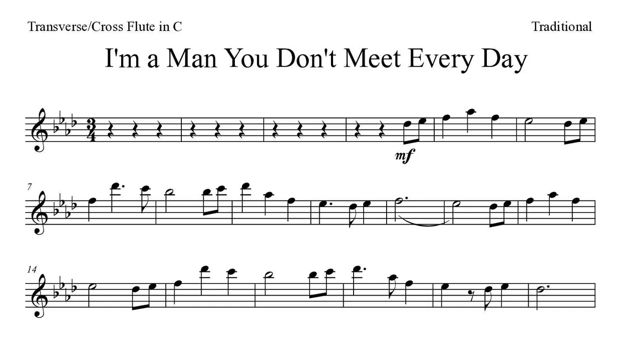 ‘I'm a Man You Don't Meet Every Day’ Flute 악보의 첫 몇 줄