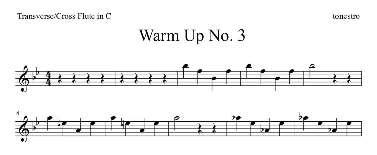 Noten von Warm Up Nr. 3 für Querflöte (Experte), erste Zeilen