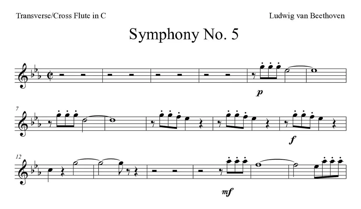 Spartito di Symphony No. 5 per flute, prime righe